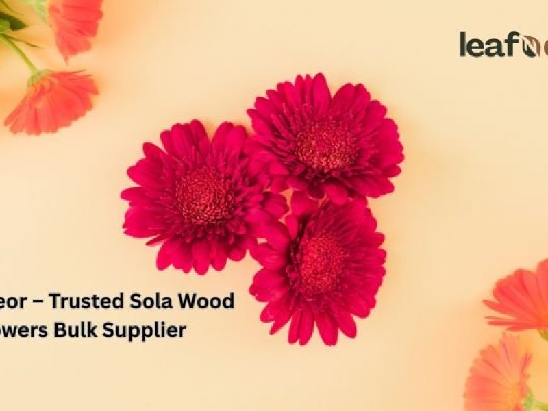 leafndeor-trusted-sola-wood-flowers-bulk-supplier