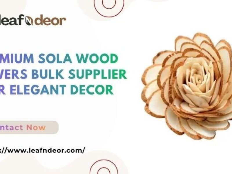 premium-sola-wood-flowers-bulk-supplier-for-elegant-decor