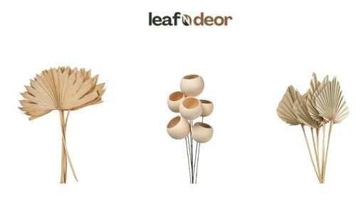 premium-dried-botanicals-wholesale-for-modern-creative-businesses-big-0