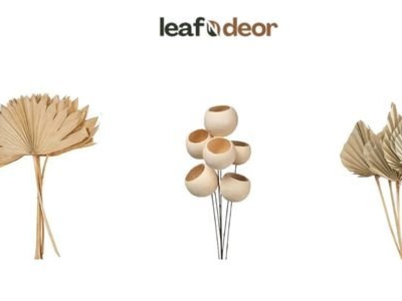 advanced-dried-flower-exporter-india-for-global-floral-trends-small-0